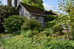 Staudenbeet-und-Schuppen