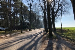 allee-zum-weyerberg